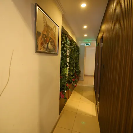 Cevik Palace 2*